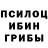 Галлюциногенные грибы Psilocybe js539