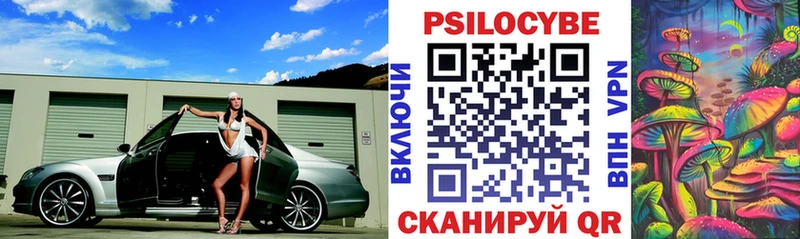 Псилоцибиновые грибы Psilocybe где купить наркоту Черняховск